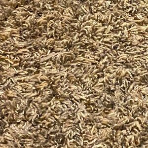 Meet your Posher, Tamarcus